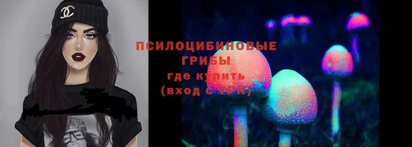 прущий лед Бородино