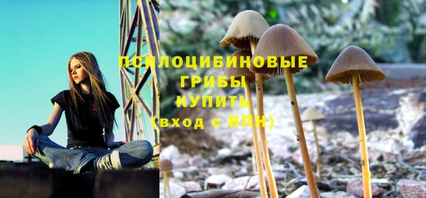 дживик Бугульма