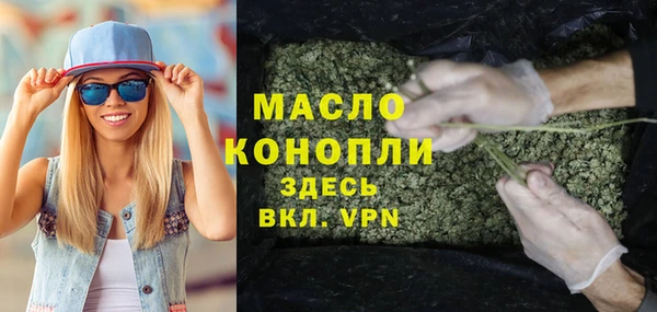 прущий лед Бородино