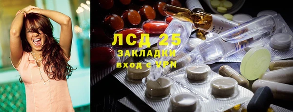 прущий лед Бородино